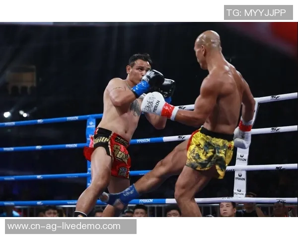 一龙与内山政人巅峰对决谁能问鼎武道之巅引发拳迷热议